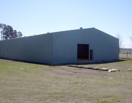 Shed 6